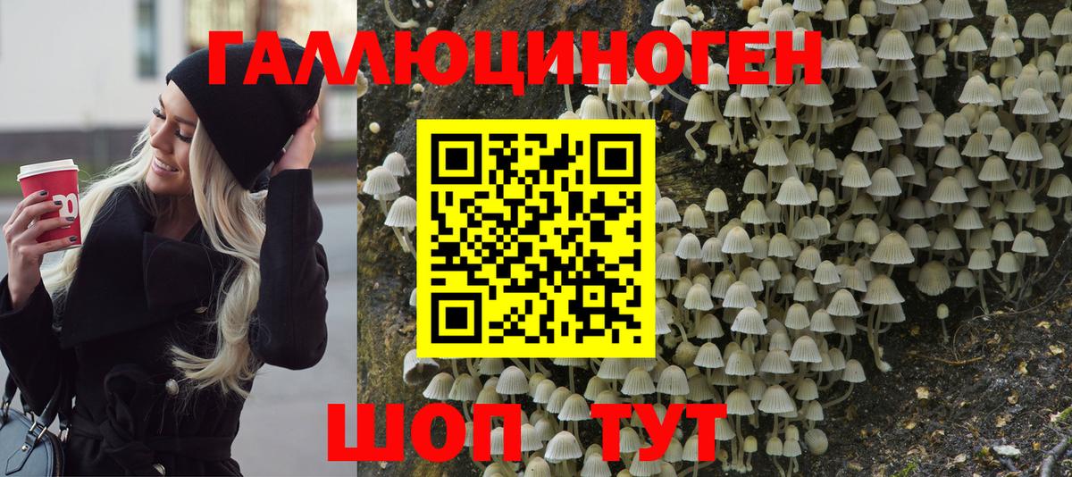 Псилоцибиновые грибы мицелий Протвино
