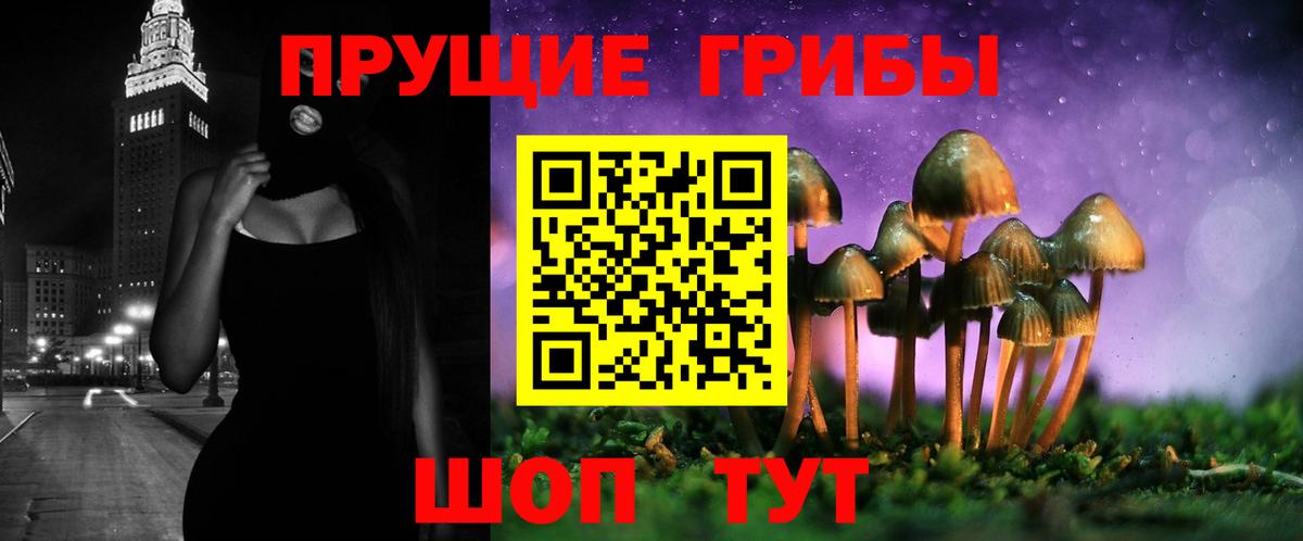 Псилоцибиновые грибы мицелий  где можно купить наркотик  Протвино  Вход с VPN 