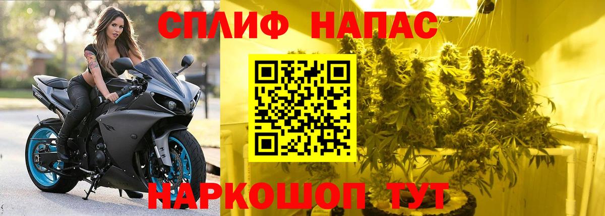 Бошки марихуана сатива  Бошки Шишки сатива  Канабис Ganja  Вход с VPN  Протвино 